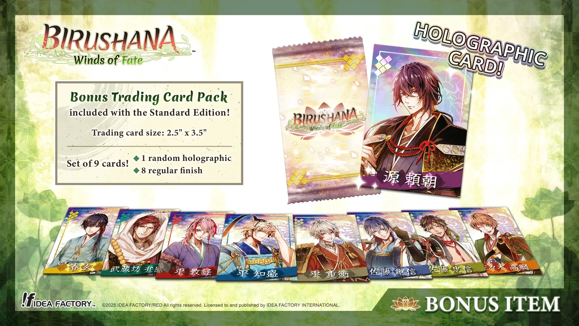 Birushana: Winds of Fate Standard Edition - Image 2